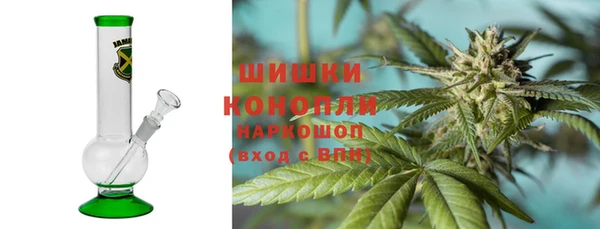 СК Новодвинск