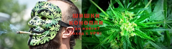 СК Новодвинск