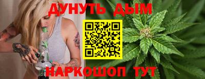 кокс Гатчина